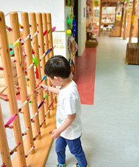 ڰ޶תſڵ׶԰ʦȻСѧ