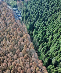 好景尚需好天配,阳光下的山王坪