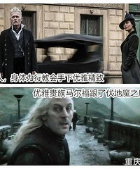 神奇动物2,格林德沃碾压伏地魔
