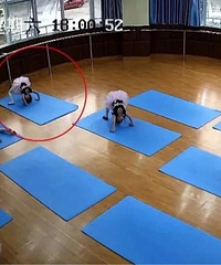 5��СŮ��ѧ�赸����Ϊ������������¼�׵���˲��Ͱ�������