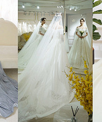 һ��������6��ɴ�����ֲ�һ�����Լ�������ɫ�������Ҳ̫������