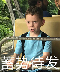 ��Ҷ������޷�������˵�Ĳ��������ޣ��������˾������޷�