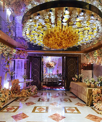 �����������죿��ȫ���ò��ģ�ѡ���Լ�ϲ���ĳ����͹���