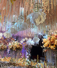 �����������죿��ȫ���ò��ģ�ѡ���Լ�ϲ���ĳ����͹���