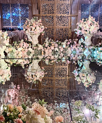 �Ƶ��Դ������ú�ʡ�ģ�3D��ǽ��������У����պ���