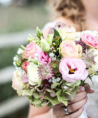 �������¾㱸��ѡһ�������������������ػ��Ҹ�