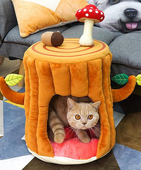 ����һ�����ղص�һЩ�д����è�ѣ������������Ǳ�һ����