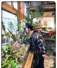 ɹɹҺ͹۵ճġĸַholdס