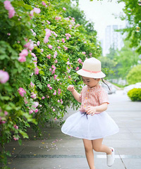 ��ʥ�ڸչ�ʥ������Ҫ���ˣ�������������ĸ��ֻ��װ