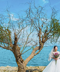 �ڶ��������������õ������������ú���