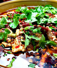麻辣鲜香水煮肉片