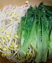 麻辣鲜香水煮肉片