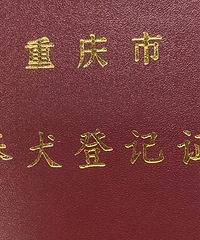在重庆中华田园犬是可以办证的