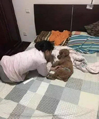 ǧ��Ҫ����İ������������������������������