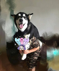 ǧ��Ҫ����İ������������������������������