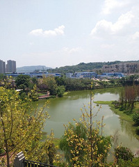 大渡口恒大麓山湖看房,感觉还不错