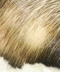 ޶ͷһֱܺãͷͻȻͺ