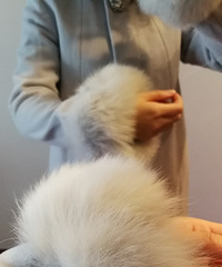 400Ԫñǧ·ڵëëïʢ