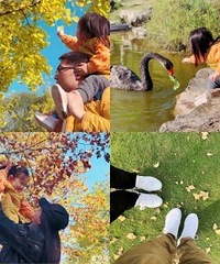 大学城的看银杏好去处