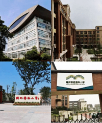 茶园的学校现在好多啊
