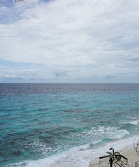 һСɱ~Ӣ׳յķɱμ+ֲе