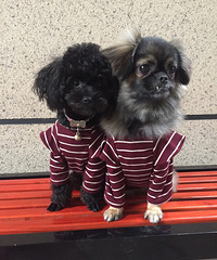 ������ֻ���������������Ǵ����޾�����