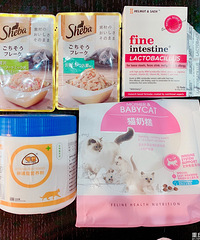 è������