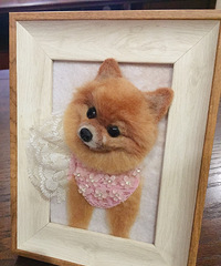 ������ֻ���������������Ǵ����޾�����