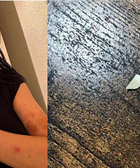 ƻ˱ˣܶȱ˭ҪΪϴף