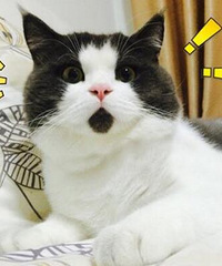 Ա̫ˣһ仰û˵͸Ƽˣ