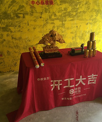 我的装修流水账--龙湖U城,北欧,简约,原木风