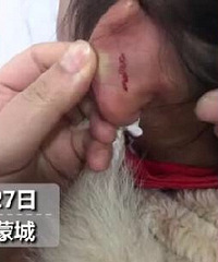 ҵûɣ ʦһ꼶СŮš