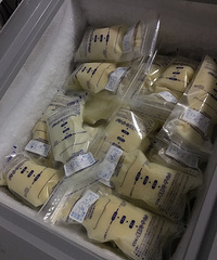 有没有需要母乳的宝妈
