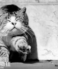 82���������������С������飬�Ը�Ҫǿ���ظ���