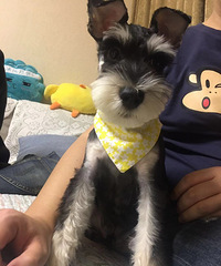 ˫11ȮһѶͬʱԼҲŰ˲Ʒ