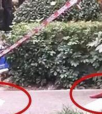 成都一小区尸块从天而降,系自杀