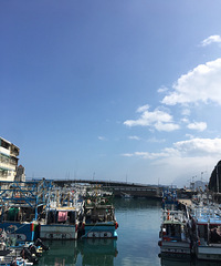 65ˣ̨壬˲Ż5ǧȥܽ׼