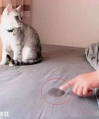 �ұ��ҼҵĻ�è�����Ա��ˡ���