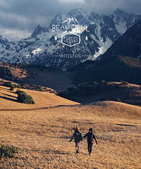 ֻõԤƬȲˣĵƬҲ̫