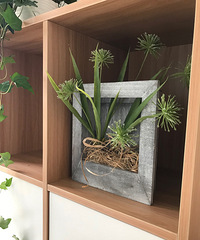 ˫11����80���������������򵽵���Щ����