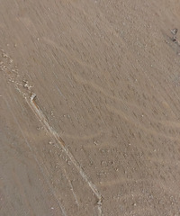 ûסľذͱװʦŪˣʹ