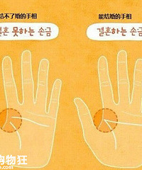 �������е�����ѧ��һ���᲻�˻飬һ���ܽ�飬����׼��׼