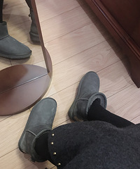 еĵһ˫ѩѥΪзˮܣԹ