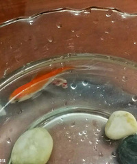 �ѽ���ĳ��Ӽ������ˣ����о���