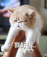 来分享一下,你每天早上起床时的状态