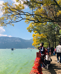 81��165CM�������������飬��ö���´��ϻ���