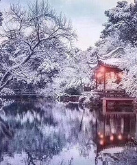 昨天的杭州西湖雪景好美好美