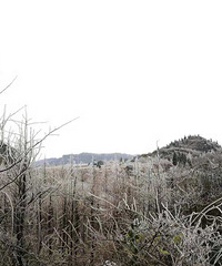 本来准备看彩色森林,结果到山王坪看了场雪+冬游季