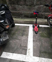 �淶ͣ��������Ҫ������ץ��