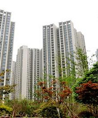 Ƽѩ׶԰С׶԰̫ˣһ˶